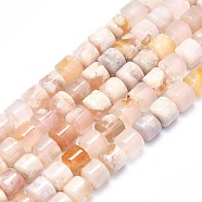 Natural Cherry Blossom Agate Beads Strands, Column, 8x8mm, Hole: 1mm, about 48pcs/strand, 15.35 inch(39cm)(G-F715-029)