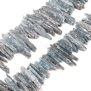 Natural Kyanite/Cyanite/Disthene Beads Strands, Nuggets, Tusk Shape, 20~41x2~8x4~12mm, Hole: 0.5mm, about 77pcs/strand, 15.35 inch(39cm)(G-D0009-02)