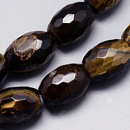 Natural Tiger Eye Beads Strands, Faceted, Drum, 15x19~21mm, Hole: 1.5mm, about 20pcs/strand, 16.1 inch(G-Q948-59B)
