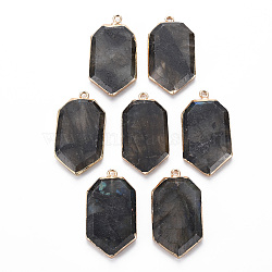 Natural Labradorite Pendants, with Golden Plated Iron Edge and Loop, Faceted, Polygon, 34~35x19x4mm, Hole: 1.8mm(G-S359-281)
