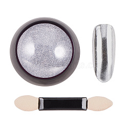 Chrome Nail Powder, Shinning Mirror Holographic Pigment Powder, with One Brush, for Woman Girls Manicure Nail Art Decoration, Gainsboro, 40x17mm, about 0.3g/box(MRMJ-Q046-004A)