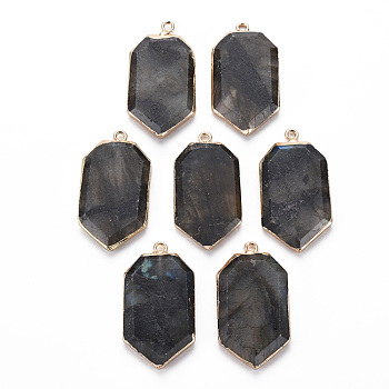 Natural Labradorite Pendants, with Golden Plated Iron Edge and Loop, Faceted, Polygon, 34~35x19x4mm, Hole: 1.8mm