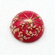 Resin Cabochons, Dome, Half Round, with Dried Flower inside, Cerise, 11.5~12x6~6.5mm(RESI-S320-12mm-32)