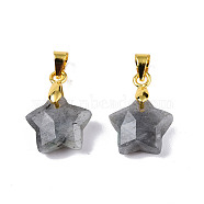 Natural Labradorite Charms, with Golden Plated Brass Findings, Faceted Star, Star: 12x12.5x5.5mm, Hole: 3.5x4mm(G-N326-142-06)