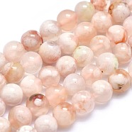 Natural Cherry Blossom Agate Beads Strands, Round, 6mm, Hole: 0.6mm, about 68pcs/strand, 15.7 inch(40cm)(X-G-I213-23-6mm)