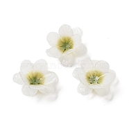 Opaque Acrylic Bead Cap, Flower, Floral White, 29x30x10.5~13mm, Hole: 1mm(SACR-C006-02C)