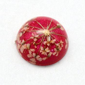 Resin Cabochons, Dome, Half Round, with Dried Flower inside, Cerise, 11.5~12x6~6.5mm