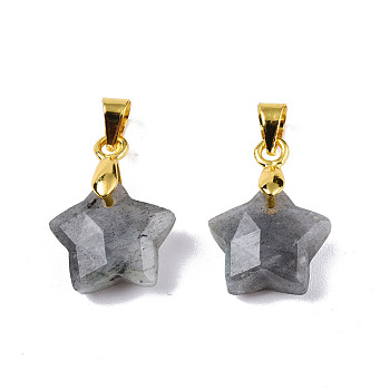 Natural Labradorite Charms, with Golden Plated Brass Findings, Faceted Star, Star: 12x12.5x5.5mm, Hole: 3.5x4mm