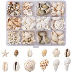 DIY Conch Shell Starfish Turtles Beads Findings Kits, including Synthetic Turquoise Beads, Natural Shell Beads & Link & Pendants, Mixed Color, 16~29x11~18x9~17mm(DIY-FS0010-25)
