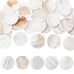 32Pcs Flat Round/Disc Natural Freshwater Shell Pendants, Seashell Color, 20x2mm, Hole: 2mm(SHEL-SC0001-98A)