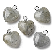 Natural Labradorite Pendants, Heart Charms with Platinum Plated Brass Loops, 14.8~15x12x4.1~4.6mm, Hole: 2mm(G-E603-01P-08)