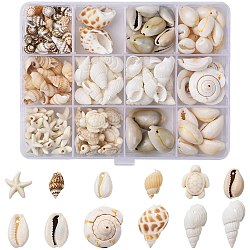 DIY Conch Shell Starfish Turtles Beads Findings Kits, including Synthetic Turquoise Beads, Natural Shell Beads & Link & Pendants, Mixed Color, 16~29x11~18x9~17mm(DIY-FS0010-25)
