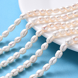 Natural Cultured Freshwater Pearl Beads Strands, Oval, Beige, 8~10x5.5~7mm, Hole: 0.8mm, about 42pcs/strand, 13.6 inch(34.5cm)(X-PEAR-F007-70)