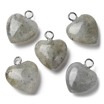 Natural Labradorite Pendants, Heart Charms with Platinum Plated Brass Loops, 14.8~15x12x4.1~4.6mm, Hole: 2mm