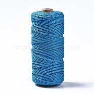 Cotton String Threads, Macrame Cord, Decorative String Threads, for DIY Crafts, Gift Wrapping and Jewelry Making, Dodger Blue, 3mm, about 109.36 yards(100m)/roll(OCOR-WH0032-44A-16)