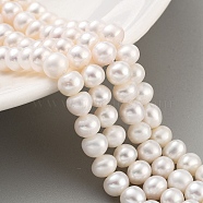 Natural Cultured Freshwater Pearl Beads Strands, Potato, Beige, 6~7mm, Hole: 0.6mm, about 29pcs/strand, 6.69 inch(17cm)(PEAR-C003-12I)