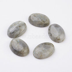 Natural Labradorite Flat Back Cabochons, Oval, 18x13mm(X-G-G741-13x18mm-18)