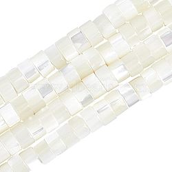 Natural Trochid Shell/Trochus Shell Beads Strands, Column, White, 3.5~4x2~2.5mm, Hole: 0.8mm, about 176pcs/strand, 15.94''(40.5cm)(PEAR-NB0001-13)