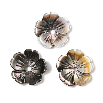 Natural Black Lip Shell Carved Beads, Flower, 10x2.5mm, Hole: 1mm