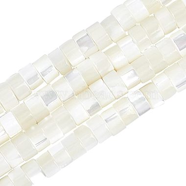 Natural Trochid Shell/Trochus Shell Beads Strands(PEAR-NB0001-13)-1