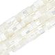 Natural Trochid Shell/Trochus Shell Beads Strands(PEAR-NB0001-13)-1