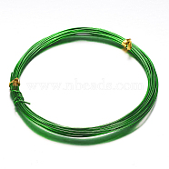 Round Aluminum Wire, Bendable Metal Craft Wire, for DIY Arts and Craft Projects, Green, 18 Gauge, 1mm, 5m/roll(16.4 Feet/roll)(AW-D009-1mm-5m-25)