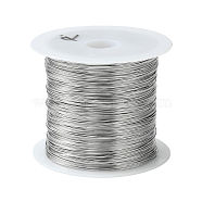 Non-Tarnish 316 Surgical Stainless Steel Wire, for Jewelry Making, Stainless Steel Color, 26 Gauge, 0.4mm, about 124.67 Feet(38m)/roll(TWIR-L004-01E-P)