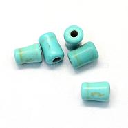Synthetic Turquoise Gemstone Beads, Column, Dyed, Turquoise, 9~10x6~7mm, Hole: 2mm(TURQ-S283-08B)