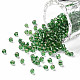8/0 Glass Seed Beads(SEED-US0003-3mm-27)-1