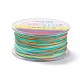 Segment Dyed Polyester Thread(NWIR-I013-E-20)-1
