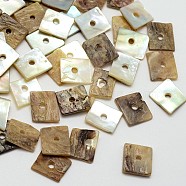 Square Natural Akoya Shell Beads, Mother of Pearl Shell Beads, Camel, 8x7x1mm, Hole: 1mm, about 1440pcs/bag(SHEL-N034-02)