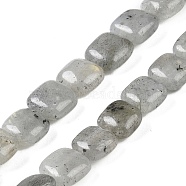 Natural Labradorite Beads Strands, Square, 8.5x8.5x5mm, Hole: 1.6mm, about 50pcs/strand, 16.34''(41.5cm)(G-M435-A11-01)