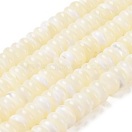 Natural Trochus Shell Beads Strands, Rondelle, Bleach, 10x5mm, Hole: 1.2mm, about 82~85pcs/strand, 14.96''(38cm)(SHEL-P017-06)