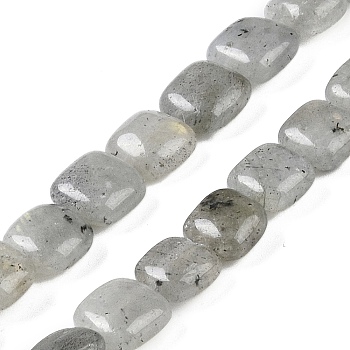 Natural Labradorite Beads Strands, Square, 8.5x8.5x5mm, Hole: 1.6mm, about 50pcs/strand, 16.34''(41.5cm)