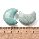 ナチュラルアマゾナイトビーズ(G-T147-01A-15)-3