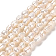 Natural Cultured Freshwater Pearl Beads Strands, Two Sides Polished, Grade 4A, Linen, 6~12x5~6mm, Hole: 0.5mm, about 49~50pcs/strand, 13.78~14.02 inch(35~35.6cm)(PEAR-E016-066)