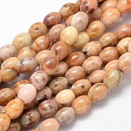 Oval Natural Agate Beads Strands, 10x8mm, Hole: 1mm, about 39pcs/strand, 15.7 inch(G-P106-08)