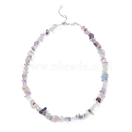 Natural Fluorite Chip Beaded Necklace, Gemstone Jewelry for Women, Platinum, 16.14 inch(41cm)(NJEW-JN03824-02)