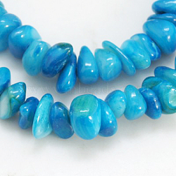 Natural Shell Beads Strands, Dyed, Chips, Deep Sky Blue, 5~12x5~8x1~6mm, Hole: 1mm(X-BSHE-D002-04)