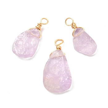 Natural Ametrine Pendants, with Real 18K Gold Plated Eco-Friendly Copper Wire, Nuggets, 21~27x9~13x4.5~6mm, Hole: 3mm