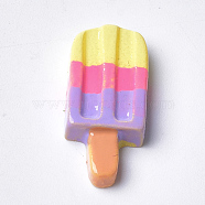 Resin Cabochons, Ice Cream, Colorful, 27~28x12x4mm(CRES-Q206-13E)