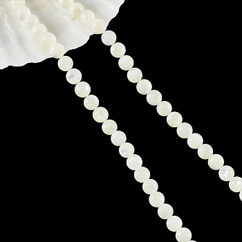 Natural Trochid Shell/Trochus Shell Beads Strands, Round, Antique White, 6mm, Hole: 1mm, about 65pcs/strand, 15.55''(39.5cm)