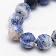 Natural Sodalite Beads Strands, Round, Faceted, 10mm, Hole: 1mm, about 38pcs/strand, 15.5 inch(G-L149-10mm-01)