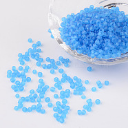 8/0 Frosted Round Glass Seed Beads, Sky Blue, Size: about 3mm in diameter, hole:1mm, about 1101pcs/50g(X-SEED-A008-3mm-M3)