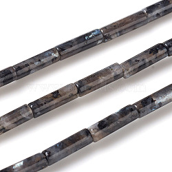 Natural Larvikite Beads Strands, Column, 13~14x4mm, Hole: 1mm, about 30pcs/strand, 15.9 inch(40.5cm)(X-G-F247-23)