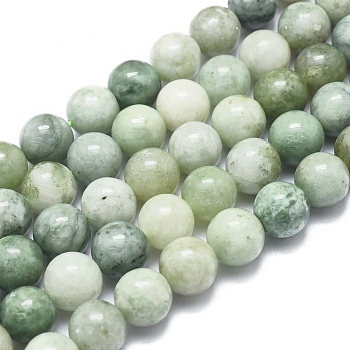 Natural Myanmar Jade/Burmese Jade Beads Strands, Round, 10mm, Hole: 1mm, about 40pcs/Strand, 15.75 inch(40cm)