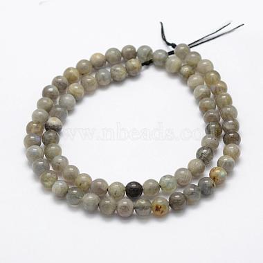 Natural Labradorite Beads Strands(G-P322-33-4mm)-2