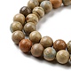 Natural Aqua Terra Jasper Beads Strands(G-E444-14B-10mm)-3