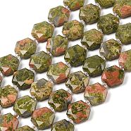 Natural Unakite Beads Strands, with Seed Beads, Faceted Hexagonal Cut, Hexagon, 12x13.5~14x5.5mm, Hole: 1.2mm, about 29pcs/strand, 15.87''(40.3cm)(G-G144-A01-01)