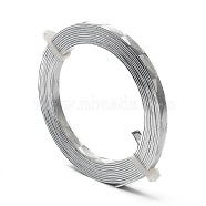 Textured Aluminum Wire, Bendable Metal Craft Wire, Flat Craft Wire, Bezel Strip Wire for Cabochons Jewelry Making, Silver, 5x1mm, about 6.56 Feet(2m)/roll(AW-R008-2m-01)